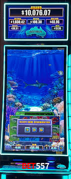 Cassino de Jogos Bet557